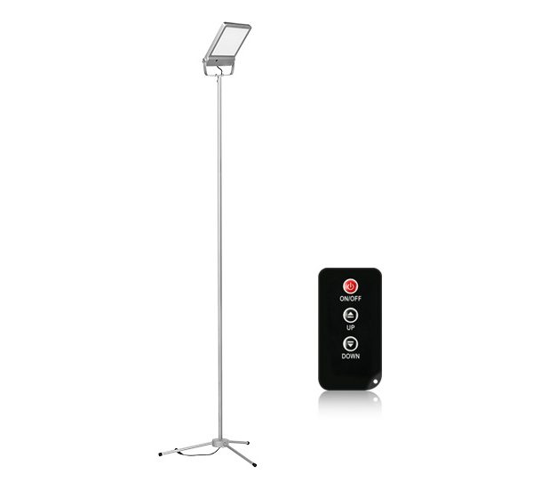 remote-control-floor-lamp-f3-1